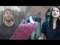 AWOLNATION - Sail Montage