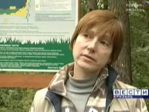 Трк ока просвещения Трк ока просвещения