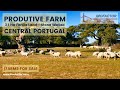 🌾 Farm For Sale - Produtive Land - Central Portugal | €48000
