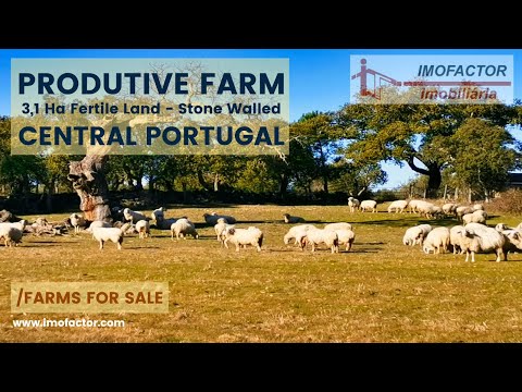 ? Farm For Sale - Produtive Land - Central Portugal | €48000