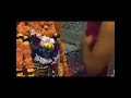 "शाम की शांति और महाकाल की भक्ति। जय श्री महाकाल। 🔱🧡"#Mahakal #Ujjain #Mahakaleshwar #LordShiva