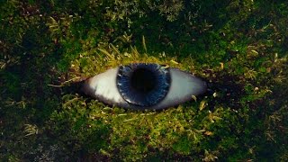 Empire of the Sun - High & Low