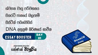 2026 Bio Essay Booster Day 01