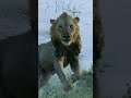 Character Emotions and Situations in Video