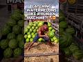 Catching Watermelons Like a Human Machine?! 🍉🤯 #shorts #catching #vigyanregenerate