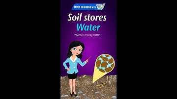 Soil | Important Functions of Soil | Soil Stores Water | Science #shorts