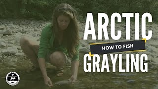 How to Fish for Arctic Grayling