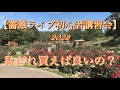 [薔薇初心者ライブ講習会２０２２]