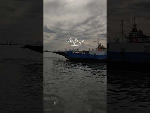 حب اللي بيحبك خالد الصيفي محمد المجذوب حب اللي بحبك رومانسي حب حالات واتس