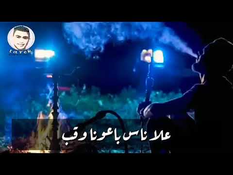 احمد عامر ولاد اللئيمة ع الرايق