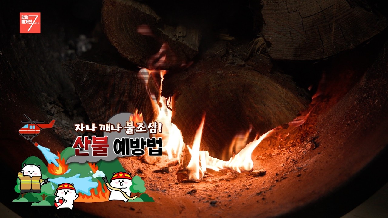 자나 깨나 불조심! 산불 예방법 / 강원매거진7 / [2026년 산불조심기간] / G1방송 / 260227