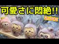 Chiikawa The Last Day Of Reservations At The Magical Chiikawa Store In Umeda Osaka They Were Chiikawa The Last Day Of Reservations At The Magical Chiikawa Store In Umeda Osaka They Were