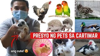 PRESYO NG IBAT IBANG PETS SA CARTIMAR PETSHOP | Hedgehog, hamster, rabbit, lovebirds, bibe, manok
