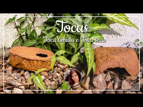 Tocas: Úmida e Seca