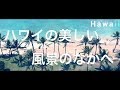 【ハワイの美しい風景の中へ】ハワイ旅行 ハワイ観光 ワイキキビーチ Hawaii Waikiki | CINEMATIC TRIP VIDEO VLOG SONY α7iii Mavic air