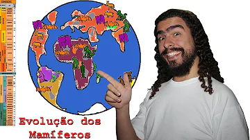 Como o morcego realiza a dispersão?