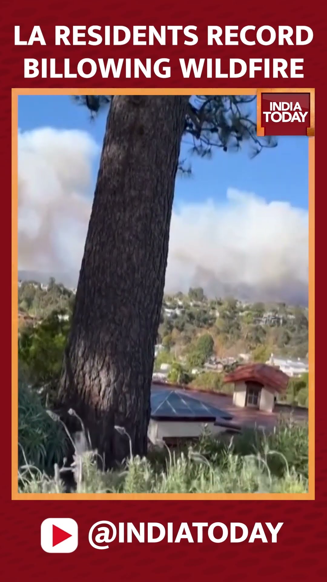 Los Angeles Wildfire Rages: Evacuations Ordered As Santa Ana Winds Fan The Flames | India Today