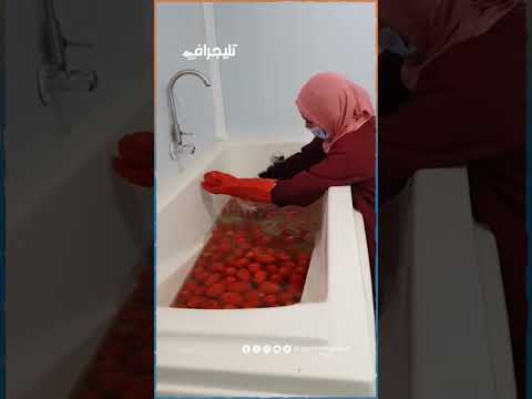 مراحل تصنيع الطماطم المجففة وليه مصر من أكبر الدول المصدرة ليها