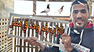 تراب تحبيس الحمام الزاجل  رقم واحد في مصر  Sputnik the Race  pigeon