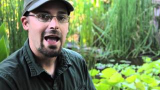 Top 6 Reasons to Have a Pond