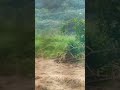 Assim como Jesus é, assim também você é nesse mundo - viva sem medo 