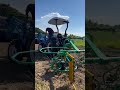 #Agribusiness #FoodSystem#RegenerativeAgriculture #Farmpreneur #SustainableFood #MarketGardening