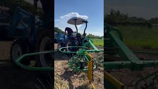 #Agribusiness #FoodSystem#RegenerativeAgriculture #Farmpreneur #SustainableFood #MarketGardening