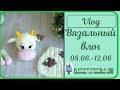 ВЯЗАЛЬНЫЙ ВЛОГ 08.06.-12.06. ВЯЖУ НОВЫЕ ИГРУШКИ