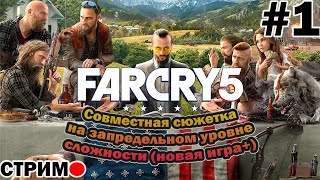 {FAR CRY 5} --- запредельная сложность (новая игра +) #1 (пробный стрим)