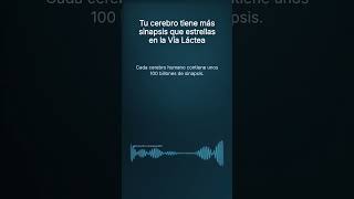 Tu cerebro tiene más sinapsis que estrellas en la Vía Láctea
