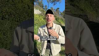 Ils Vivaient Sur Notre-Dame