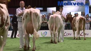 Ju Tobias - Nrm 2012 Dochtergroepen Proefperiode