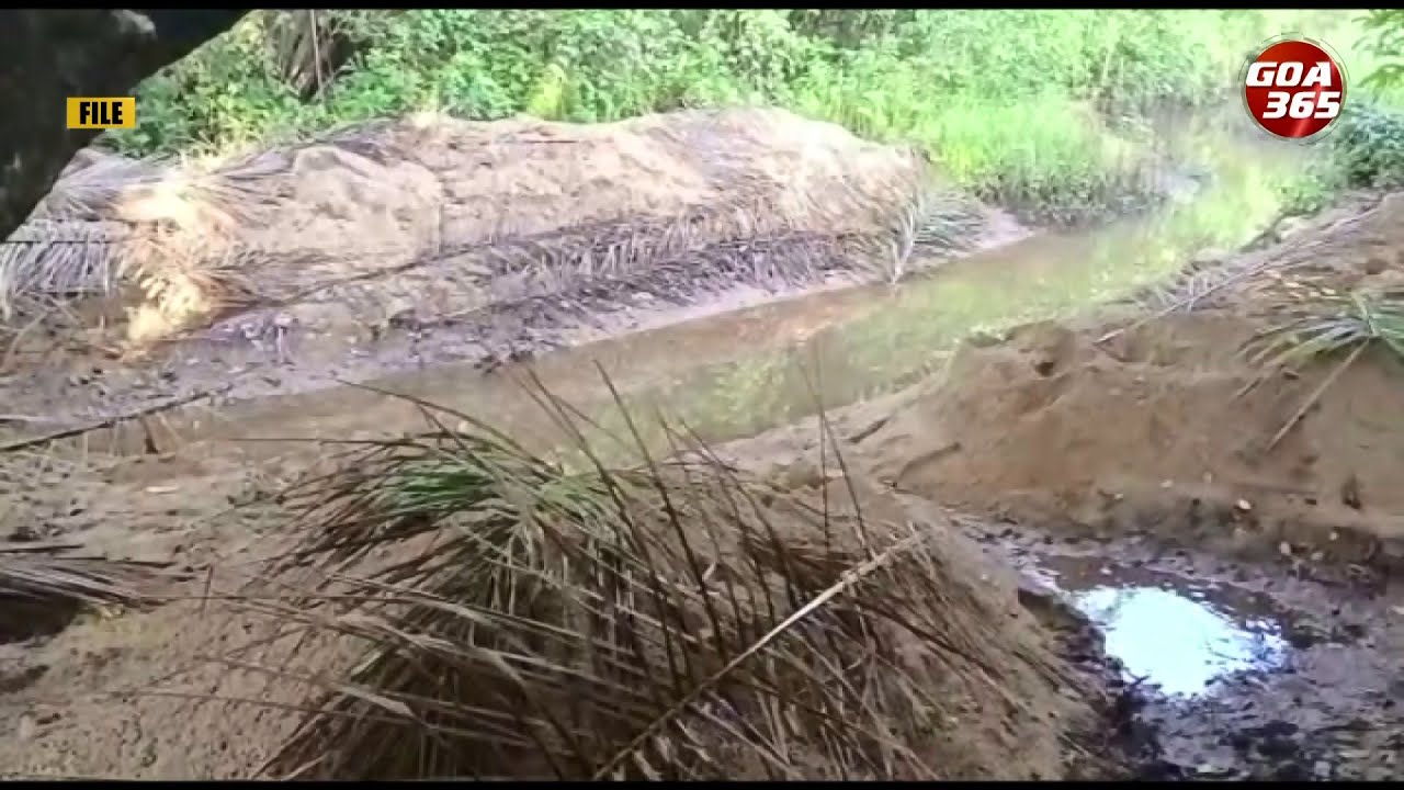 “either incapable or disinterested” HC slams DGP, SC over illegal sand mining; demands answers