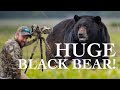 I waited 8 hours for this! | Wildlife Photography | Huge Black Bear