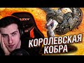 Hellyeahplay смотрит: Вот Почему Королевская Кобра Ненавидит Других Змей