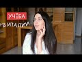 Итальянское образование: плюсы и минусы |  Мой опыт учебы в Италии