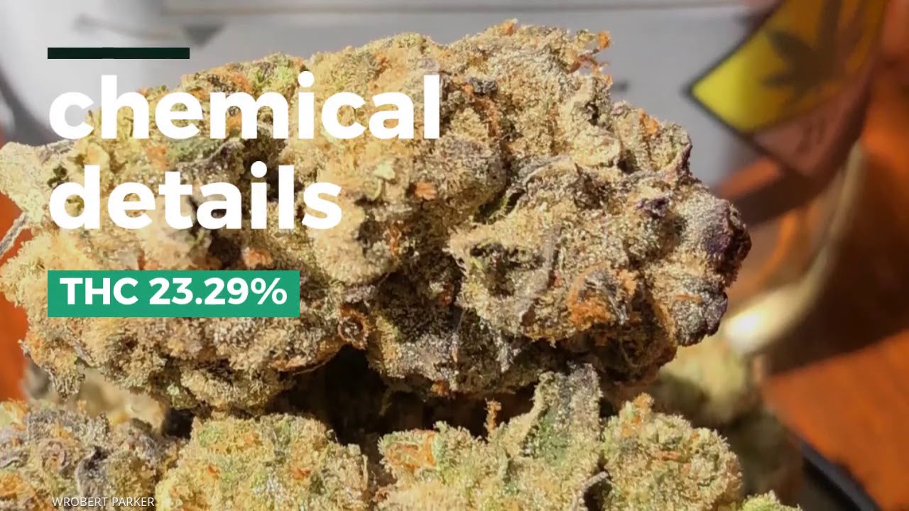 mjmaryjane platinum forum cookies review