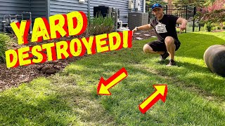 How To Repair A Damaged Lawn And Grow Grass Fast Before Summer