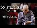 Sentir o Campo Sistêmico | Constelação Familiar