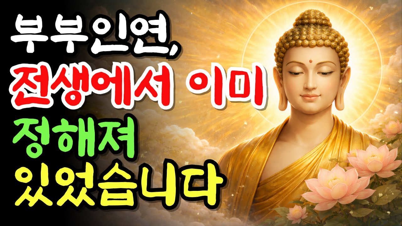 부부 인연, 전생에서 이미 정해져 있었습니다