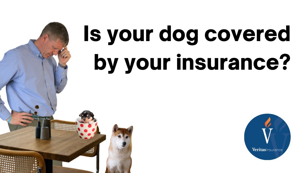 Are Dogs Covered by Home Insurance?