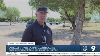 Wildlife corridors becoming essential for Tucson wildlife