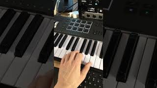 Retro Synthwave Pluck Bass Melody with Classic 80s Beat Vibes