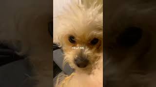 Why Did It Turn Like That?