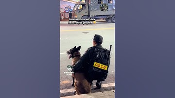 Dễ thương lắm luôn cả hai đang thực hiện nhiệm vụ #respect #congannhandan #canhsatcodong #short