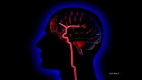 Penumbra System Animation