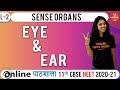 Neet Biology | Eye & Ear | Sense Organs - Lec 2 | Class 11 | Vedantu Master Teacher | Dr. Vani Sood