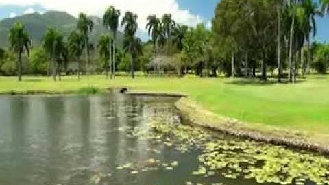 السورة التي تنجيك من عذاب القبر سورة الملك قراءة سعد الغامدي