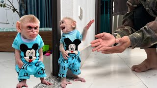 Baby Monkey Gets Upset He Thinks Dad Left Him Behind