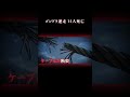 ロープウェイを100キロで逆走 #事件 #海外事件